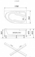 Ванна гидромассажная Triton София -левая 1700 x 950 мм Базовая, Flat металл.(+гидро)