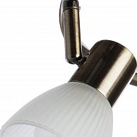 Спот Arte Lamp A5062PL-3AB