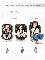 Автокресло Amarobaby Champion Isofix / AMARO-2008CH-Ch (черный)