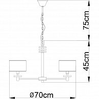 Люстра Arte Lamp A3990LM-6CC