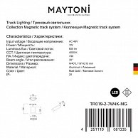 Светильник Maytoni TR019-2-7W4K-MG