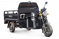 Грузовой электротрицикл RuTrike Мастер 1500 60V1000W Черный матовый-2814