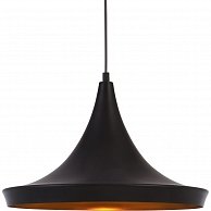 Светильник подвесной Arte Lamp A3406SP-1BK