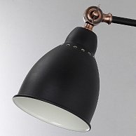 Светильник Arte Lamp Braccio A2055AP-1BK