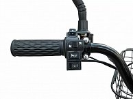 Электровелосипед Smart8 Dacha Monster (15Ah) Черный