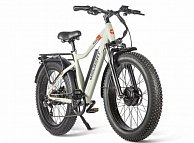 Электровелосипед Gelbert Pegas 3 DUAL PRO Бежевый-2961