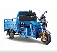 Грузовой электротрицикл RuTrike Дукат 1500 60V1000W Синий-1969