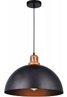 Светильник Arte Lamp A4249SP-1BK