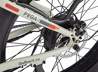 Электровелосипед Gelbert Pegas 3 DUAL PRO Бежевый-2961