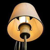 Подвесная люстра Arte Lamp  Orlean  A9310LM-8WG