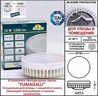 Плафон Fumagalli Remo R50.000.000.LXD6L