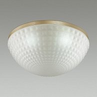 Светильник потолочный Odeon Light 4936/4C